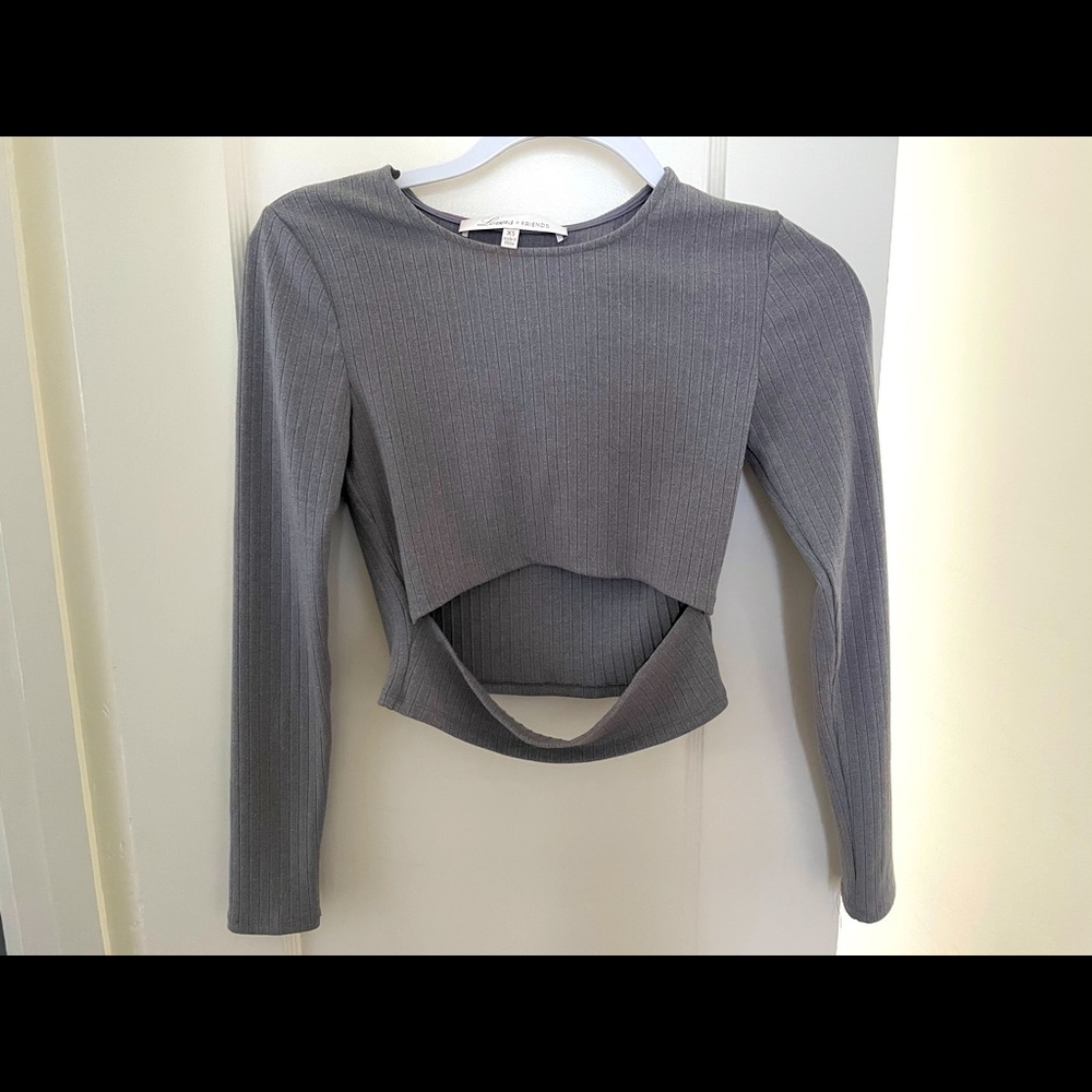 Lovers + Friends Crop Top